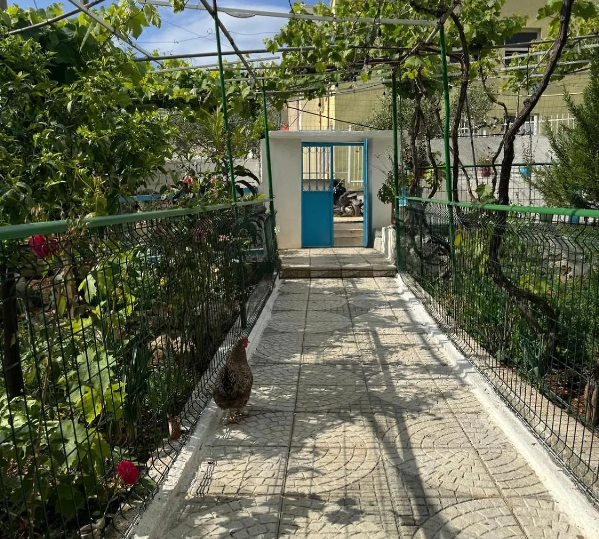 Apartament Emy'S Rooms Himara